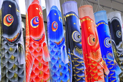 端午の節句,鯉のぼり,寿月すみたや,浜松市