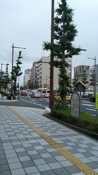 日常 2020/06/01 11:13:49
