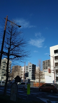 立春を迎えて 2020/02/04 16:45:16