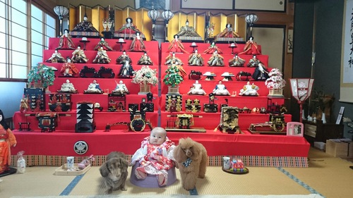 http://sumitaya.info/publics/index/40/