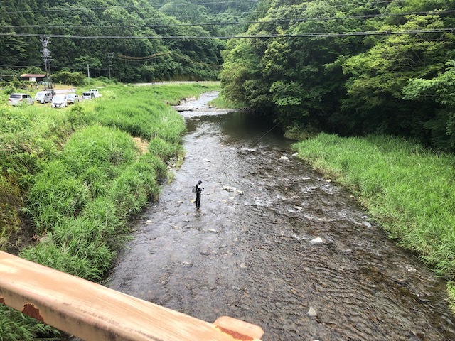 大井川解禁日釣果情報伊久美川編