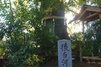 新熊野神社＠京都市東山区