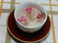 桜茶