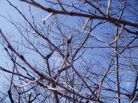 まだもう少し・・・ 2007/02/19 14:54:00
