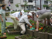 アクト通り花くらぶ・植え替え(８)