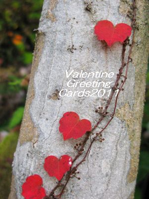 バレンタインカード2011