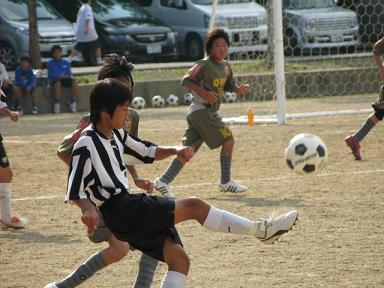新人戦2008結果