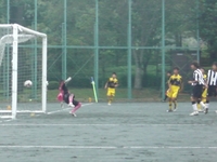 ２０１０新人戦結果