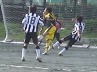 ２０１０新人戦結果