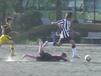 ２０１０新人戦結果