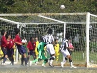 ２０１０新人戦結果