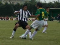２０１０新人戦結果