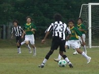 ２０１０新人戦結果