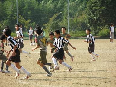 新人戦2008結果