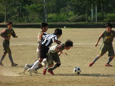 新人戦2008結果