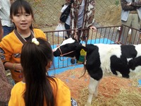 法多山団子祭り！ 2011/11/03 13:55:51