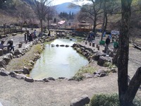 ヤマメ釣り！ 2012/04/08 21:38:00