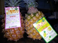 忘れてました 2012/06/12 22:04:41