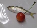 トロより高値＝浜名湖 シンコ！（新子 小肌 コノシロ）