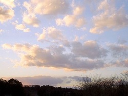 晴れの日Ｎｏ１＝浜松市（2011年）