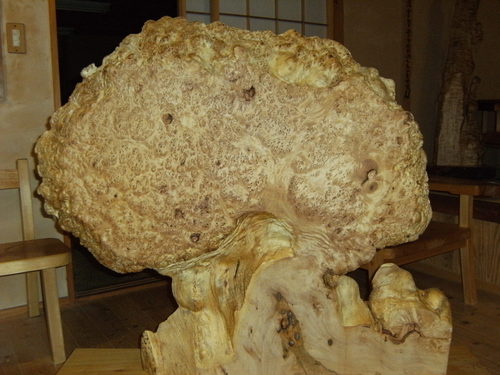 珍品の衝立