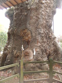 施主さんに連れられ、住宅展示会に行く。 2010/12/20 20:46:12
