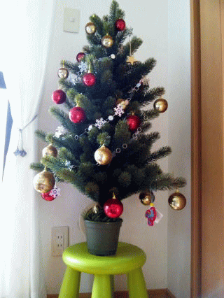 クリスマスツリーの写真を頂きました。