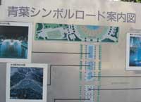 静岡県地産地消活動ＰＲ「青葉シンボルロード」