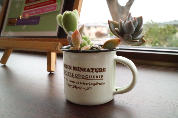 ひだまりＣａｆｅえむさんで３月のアフタヌーンティー☆桜づくし♡
