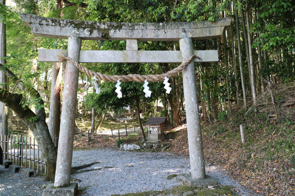 蜂前神社に参拝して御朱印をいただきました☆