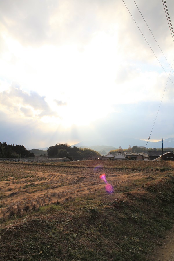 神々しいワ！古代史の里☆明日香村あっちこっち(^o^)
