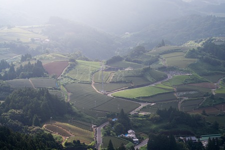 美しい茶畑のある風景　#茶畑　#磐田原　#牧之原　#天竜川　#大井川　#春野町