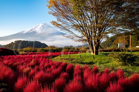 フォトコンテスト入賞もっちの写真　#東京カメラ部　#富士五湖　#富士五湖の秋