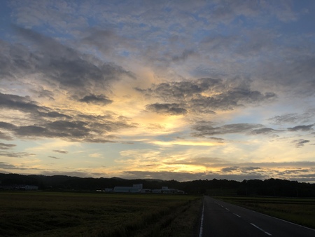 今朝の雲　#朝ラン　#早朝ラン　#秋雲　#彼岸花
