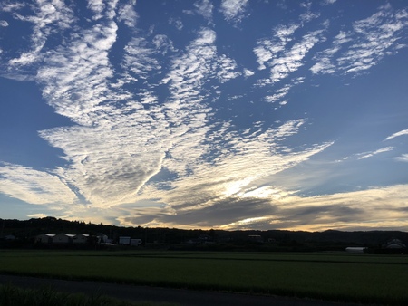 梅雨の晴れ間の空　#朝ラン　#早朝ラン　#空