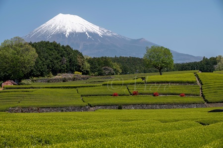 富士山と天の川　#富士山　#天の川
