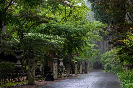 油山寺と法多山　#油山寺　#法多山　#遠州三山　#袋井市