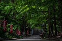 油山寺と法多山　#油山寺　#法多山　#遠州三山　#袋井市