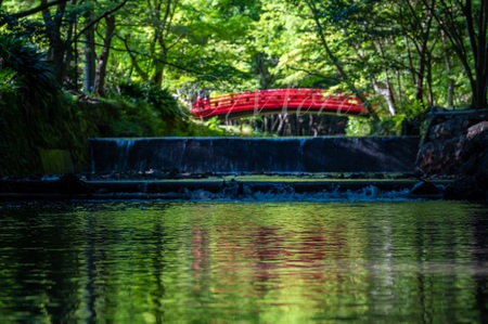 小國神社と熊野の長藤　#小國神社　#森町　#熊野　#長藤　#磐田市
