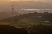 美しい茶畑のある風景　#茶畑　#磐田原　#牧之原　#天竜川　#大井川　#春野町
