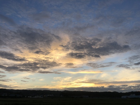 今朝の雲　#朝ラン　#早朝ラン　#秋雲　#彼岸花