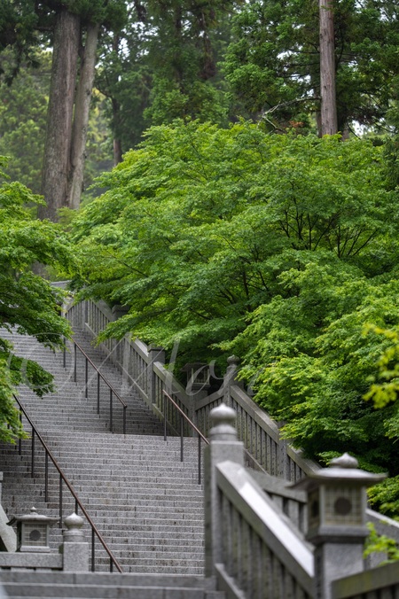 油山寺と法多山　#油山寺　#法多山　#遠州三山　#袋井市
