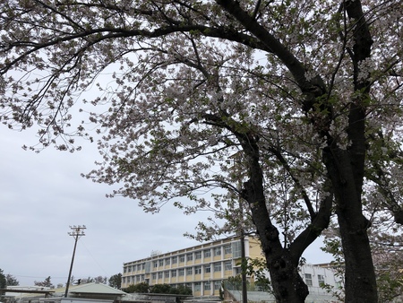 今日の遠征先　#高校野球