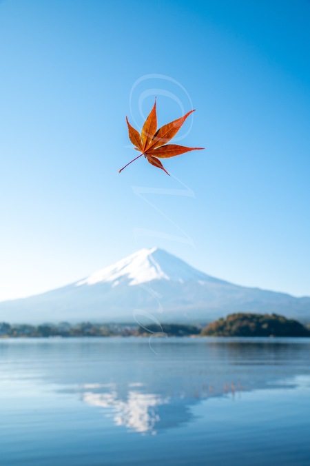 フォトコンテスト入賞もっちの写真　#東京カメラ部　#富士五湖　#富士五湖の秋