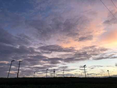 今朝の雲　#朝ラン　#早朝ラン　#秋雲　#彼岸花