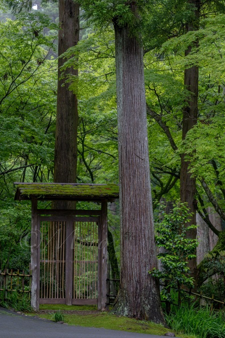 油山寺と法多山　#油山寺　#法多山　#遠州三山　#袋井市