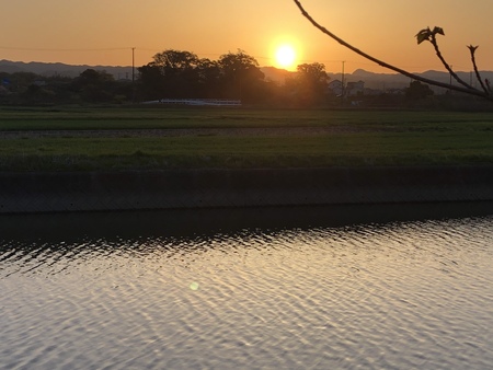 朝ラン、つづきの写真です　#朝ラン　#早朝ラン  #朝日　#里山　#軽便鉄道