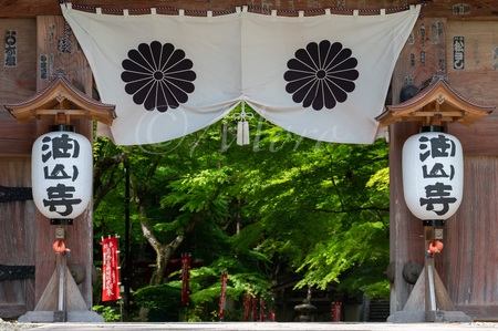 油山寺と法多山　#油山寺　#法多山　#遠州三山　#袋井市
