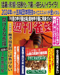 週刊雀蜂　第3号