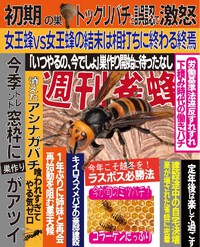 週刊雀蜂　創刊！　表紙だけでお楽しみください。